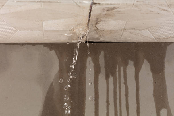 Professional Structural Drying technician working in Rawson, OH